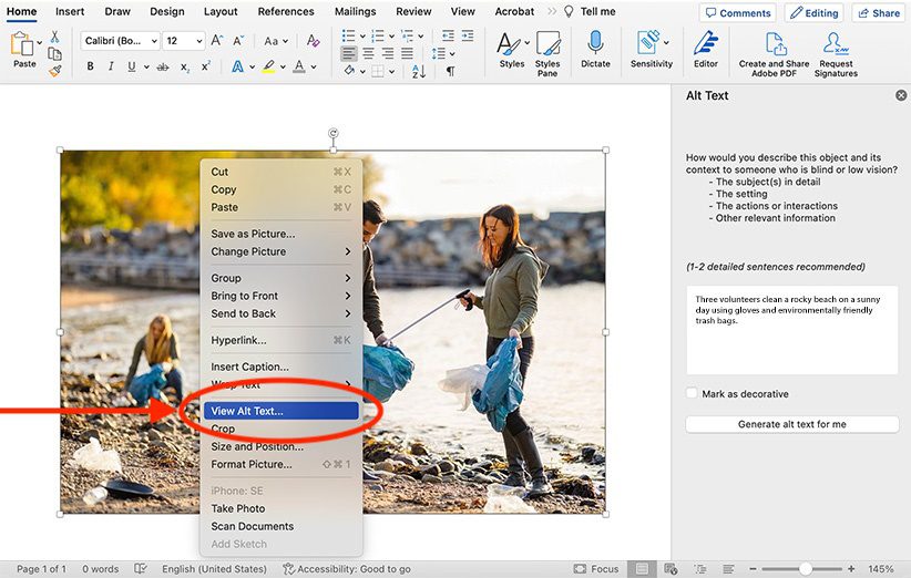 Screenshot showing an example of how to  add alternative text to an image. 