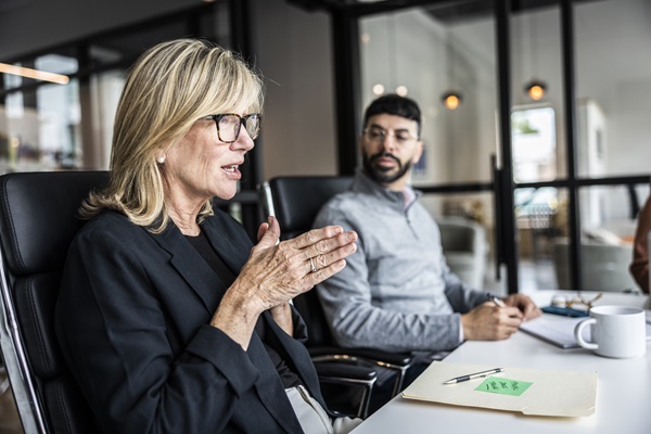 Business meeting with two professionals discussing.