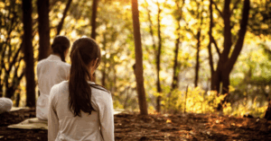 People meditating in sunlit forest clearing